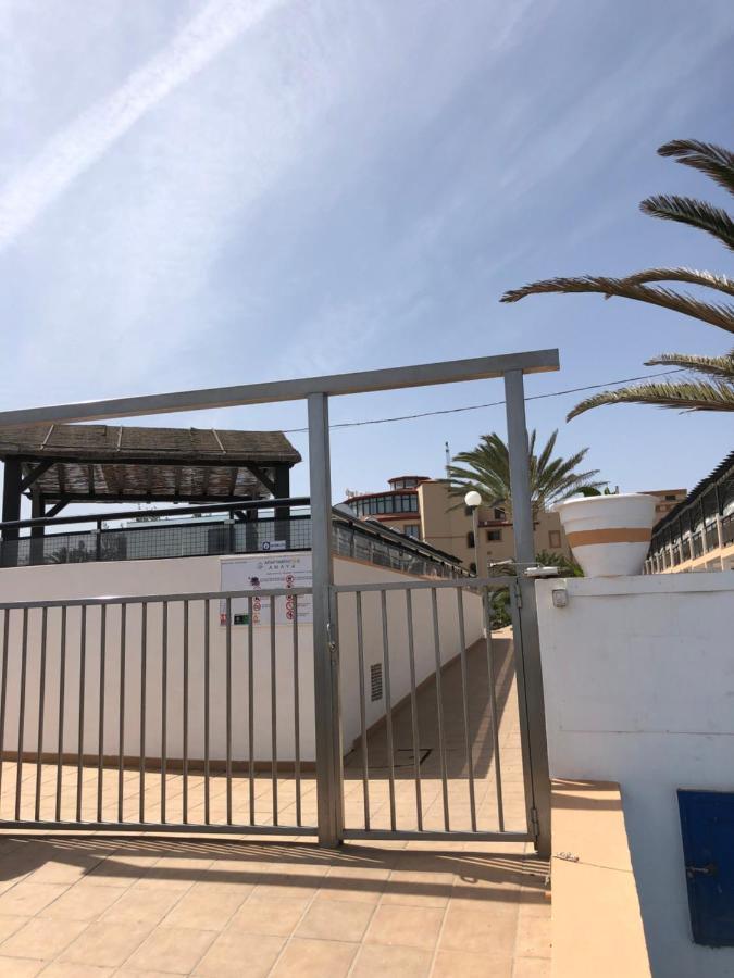 Apartamento La Tortuga De Fuerteventura Costa De Antigua Bagian luar foto